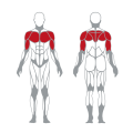 Multi Press Super Horizontal yang dimuat untuk latihan