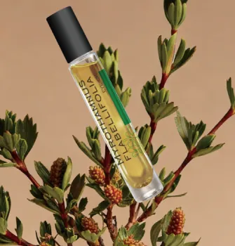 Resurrection Grass Anti Wrinkle Eye Oil