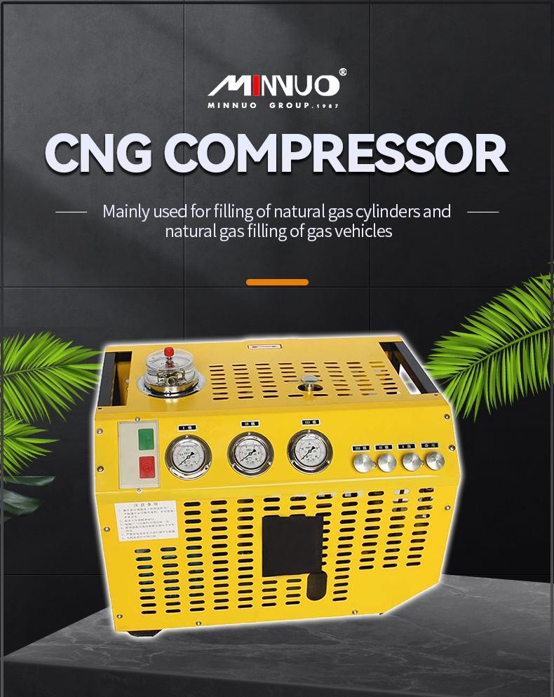 cng compressor picture 