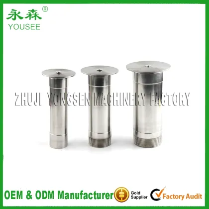 Zhuji Yongsen Portobello Mushroom Recipe - YSN2005