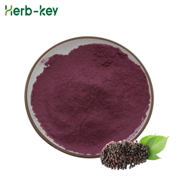 Black elderberry extract powder Improve immunity