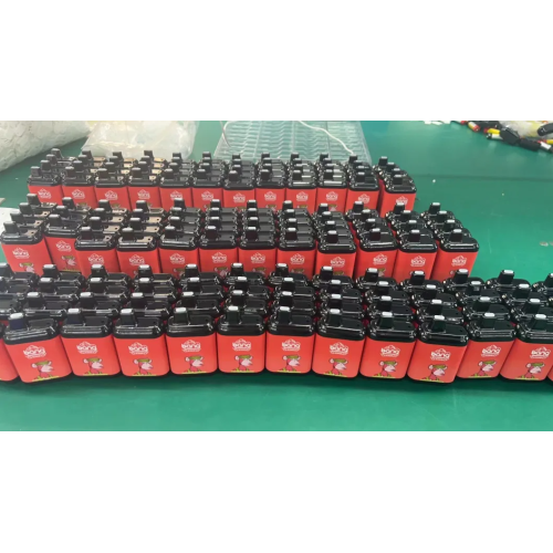 8000 Puffs Plus Disposable Vape Juice E-Cigarette