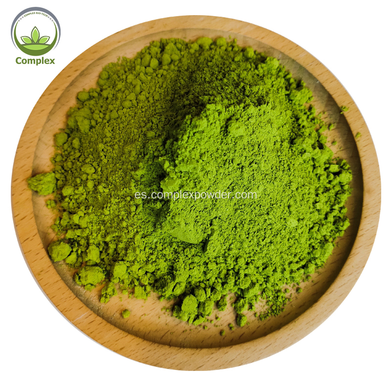 Polvo de té matcha verde orgánico de alta calidad