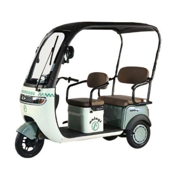 Spacious Electric Tricycle for Leisure and Daily Use