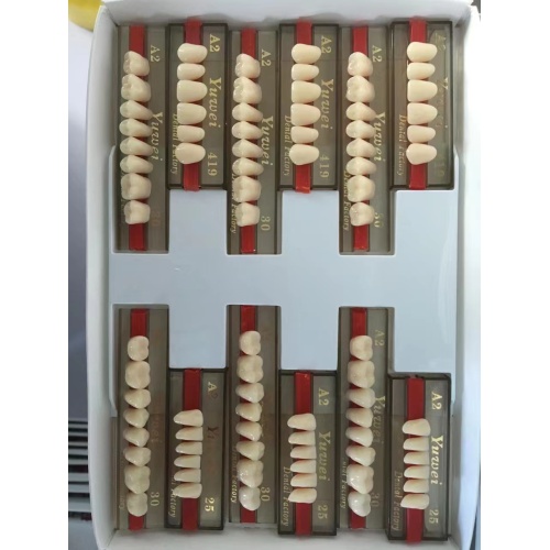 Full Set Synthetic Polymer Acrylic teeth denture