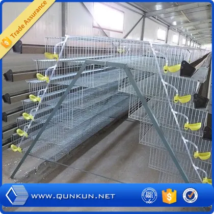 Automatic quail cage/quail battery cages/quail farm cage
