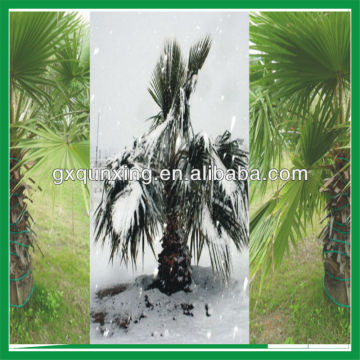 Palm warming cable in Winter