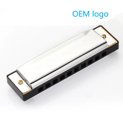 Factory Custom Metal Musical Instrument 10 Holes Blues Harp Harmonica for Kids