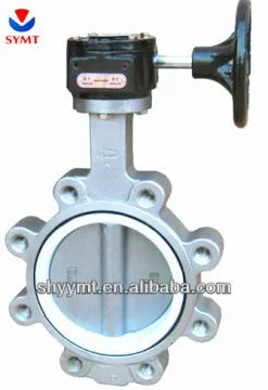 Lug type butterfly valve without pin