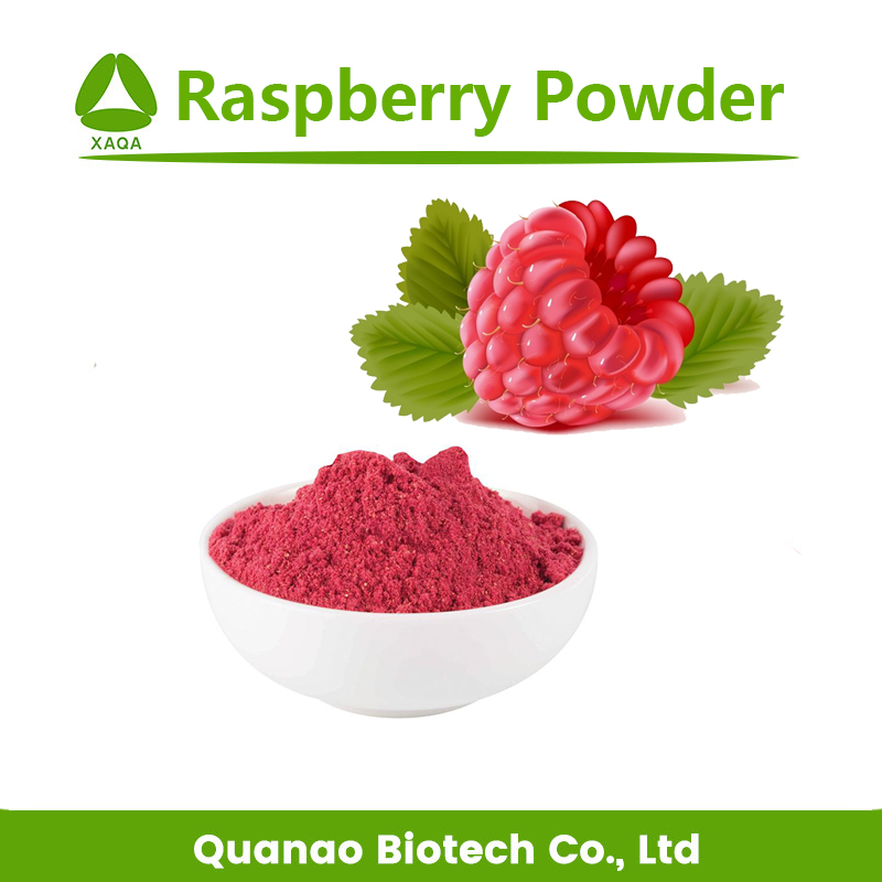 100% Pure Natural Raspberry Juice Freeze Dried Powder