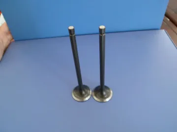 engine valve for 4D31 (ME029006 ME011245)