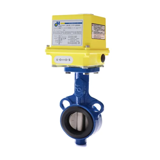 Titanium Forged Butterfly Valve with Optional Models