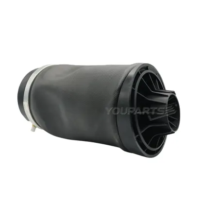 YOUPARTS 2513200425 Air Spring Air Bag Suspension for Mercedes-Benz R-Class W251