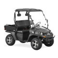 Hot Jeep Style 200CC EFI Golf Cart