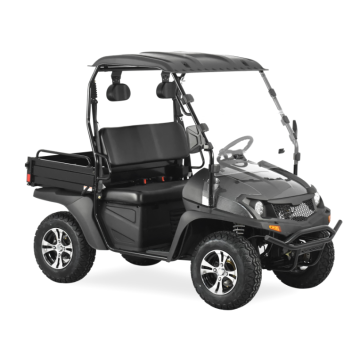 Hot Jeep Style 200cc EFI Golf Cart