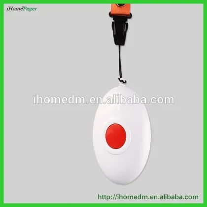 Parking assist system, wireless calling system