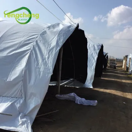 black white panda film mushroom greenhouse covering