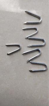 U-Shaped Nail for Wholesale