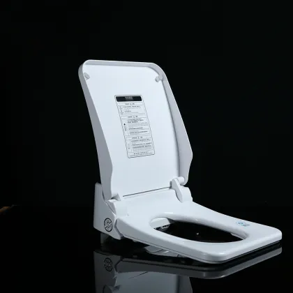 Intelligent Automatic Wash Toilet Seat - China Supplied Bidet Smart Toilet Cover Seat