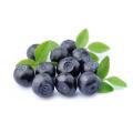 Natural Blueberry Extract Blueberry Fruit Powder