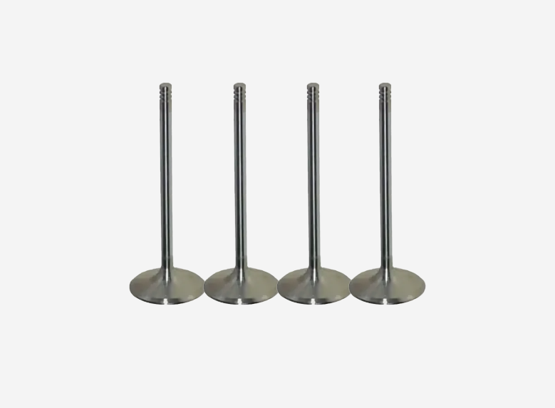 96830500 Exhaust Valve for Engine Systems