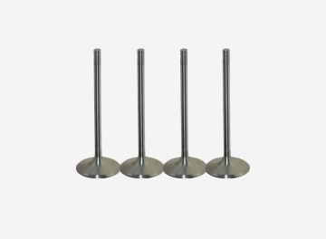 Engine Intake Valve - Fits Caterpillar C15, 3406E