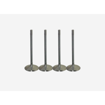 Intake Valve for Engine 90536095
