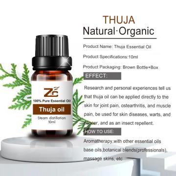 Thuja Essential Oil pure essential oil