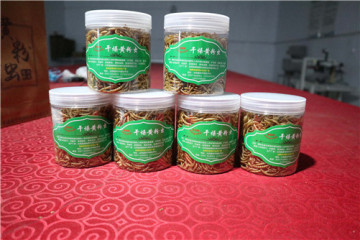 100% Pure Natural Reptile Dried Tenebrio Molitors Feed
