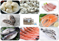 IQF Freezer: Quick Freezing Machine