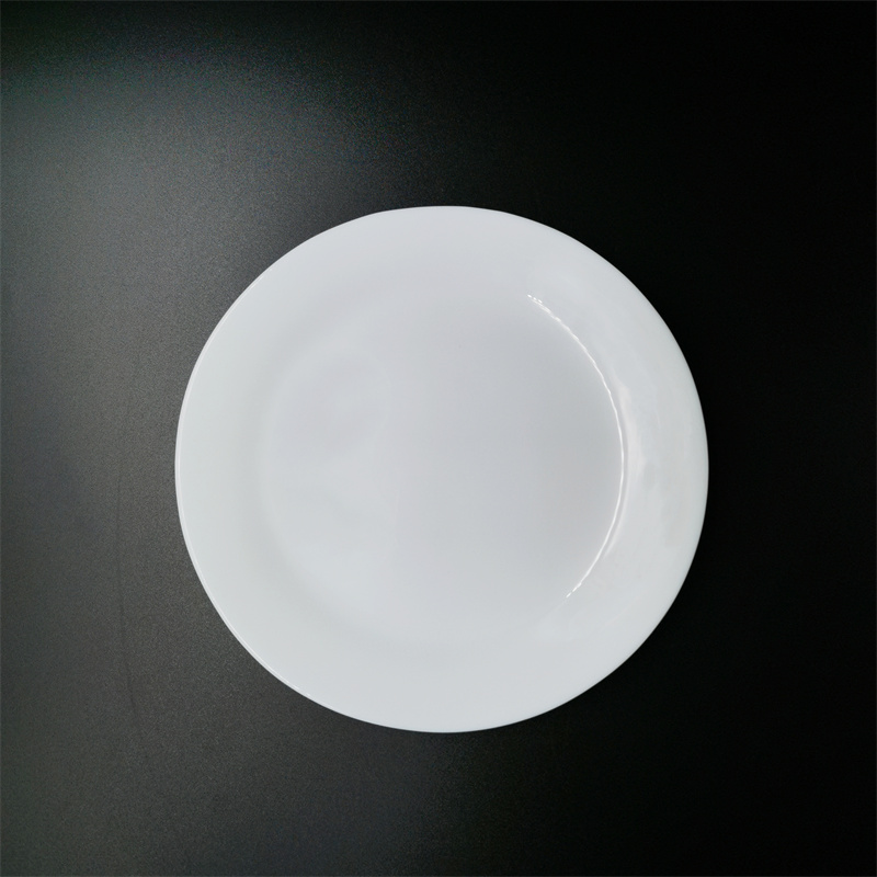 Piatto da pranzo non slip Non Slip Dinner Plate