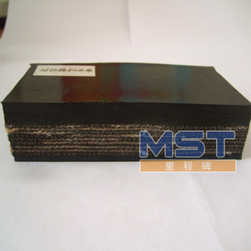 CC125 Conveyor Belt