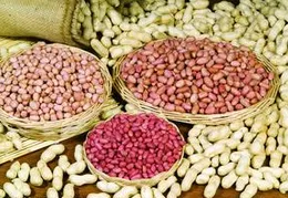 Continuous Touch Screen PLC Digital Granule Pack Machine Automatic Stainless Granule Packing Machine