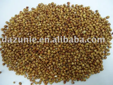 Red Sorghum Seed