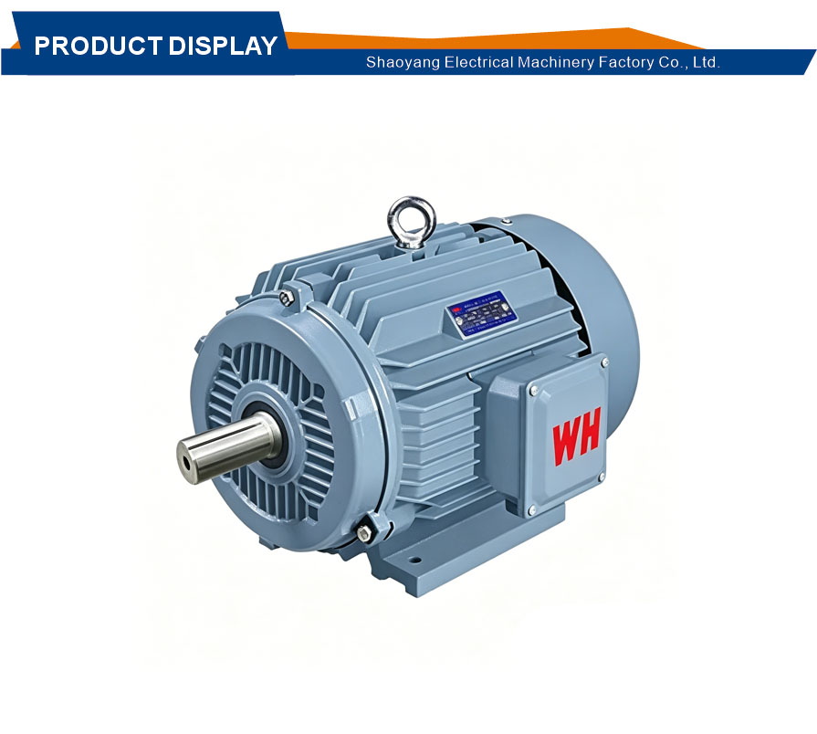 IP55 protection energy saving motor