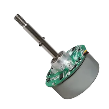 High Torque Brushless Motor, 48V Brushless DC Motor 750 Wat & 15W 3000rpm Brushless Motor Customizable