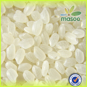 Round and white rice price cheap and healty