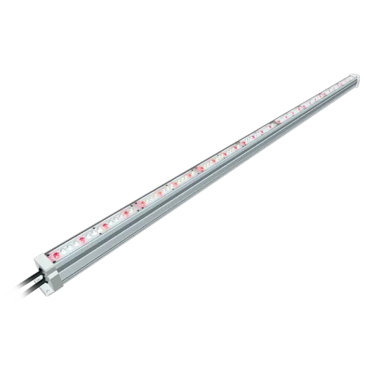 Newest Arrival Horti 30W 40W 60W Full Spectrum Waterproof Vertical Farming LED Grow Light