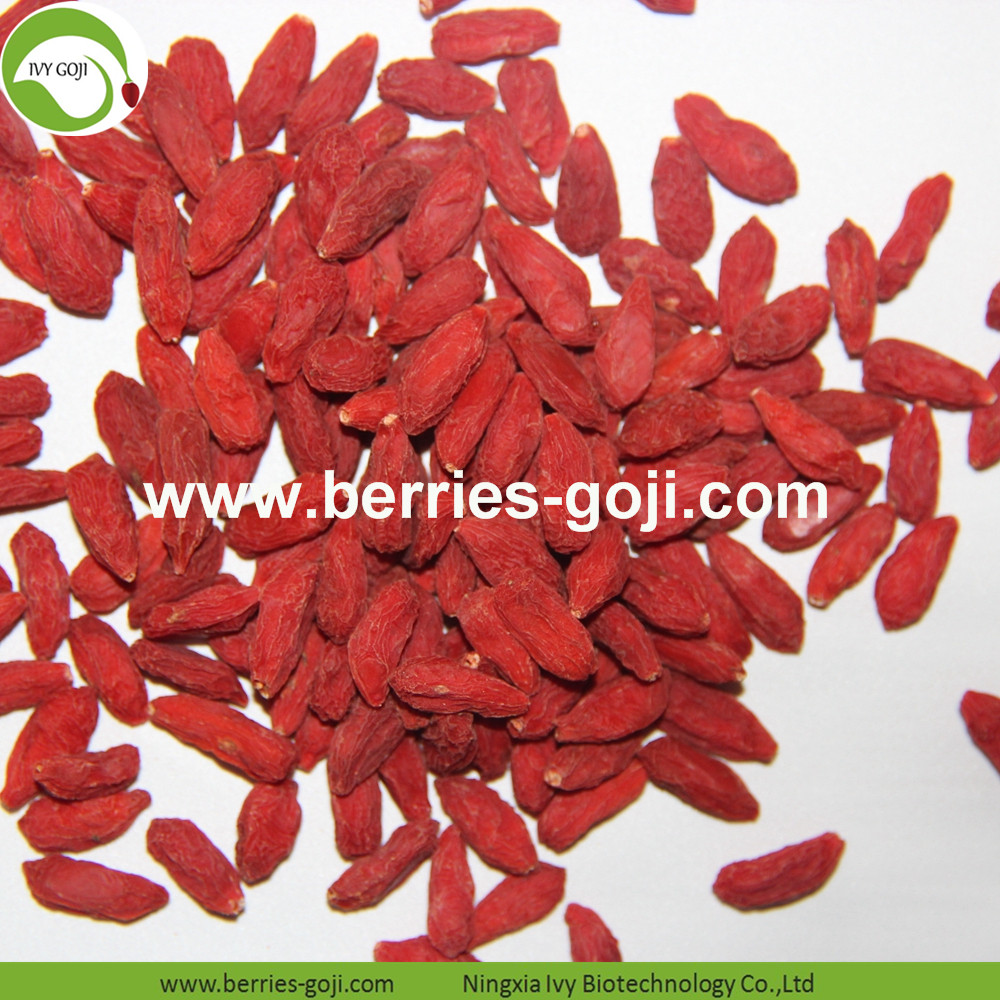 Goji berry