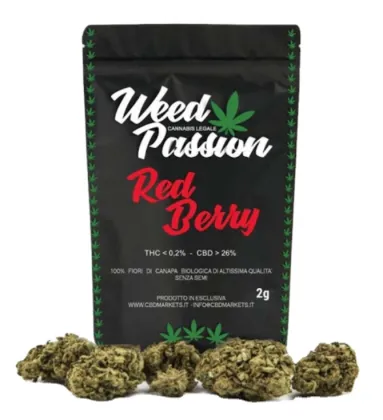 Custom printed snack bags Stand Up Pouch Gravure Printing Snack plastic bag