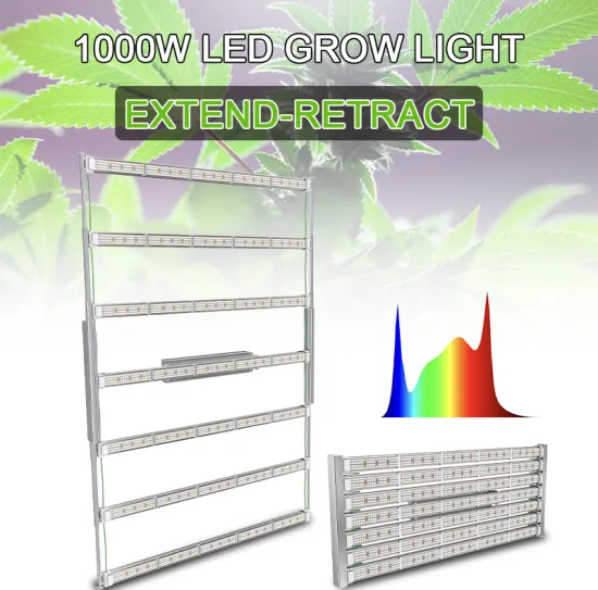 Greenhouse Herb Planting Led Grow Light