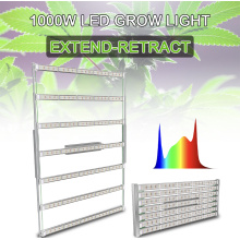 LED di piantagione di erbe in serra coltiva la luce