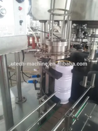 Provide by China Can Honey Beer Filling Factory Automatic Can Packing Machine
