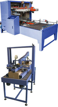 Auto Carton Loading Machine (CS Series)