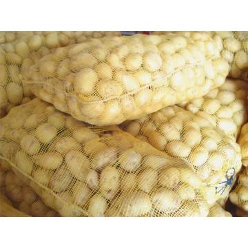 Farm Fresh Potato For Export With Low Price