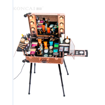 wholesale new design aluminum rolling makeup case