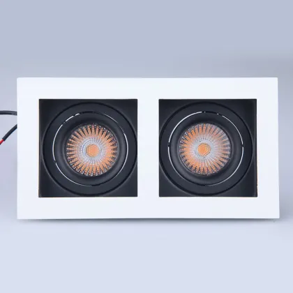 Customizable Double Head Anti-Glare COB Downlight