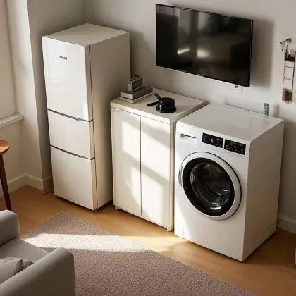 Decorative powder for household appliances