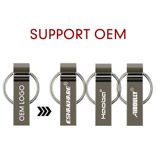 metal usb flash drive with keychain 2.0 pendrive