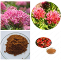 Lower blood pressure rhodiola rosea extract